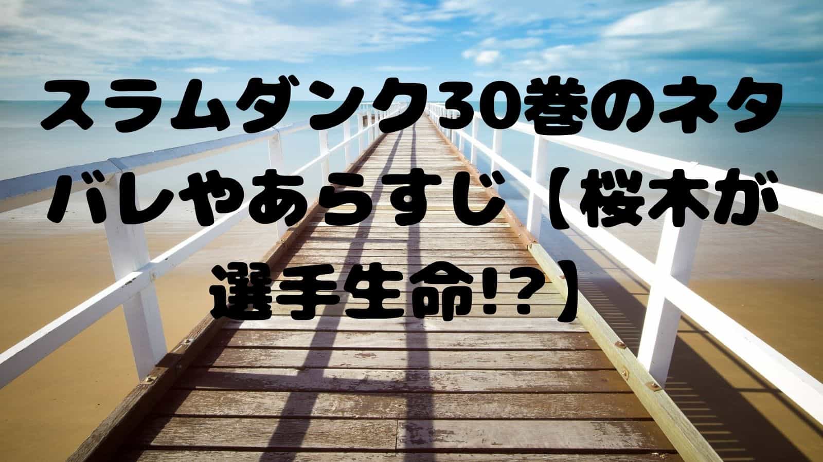 スラムダンク30巻のネタバレやあらすじ 桜木が選手生命 電子書籍ドットコム